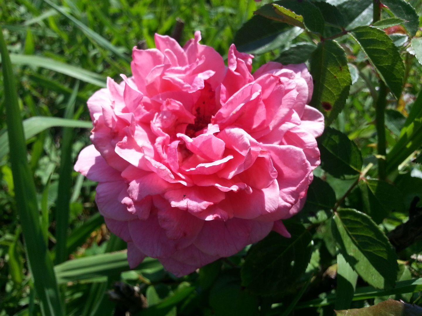 zaide photo 20130622_165300_zps06a762c0.jpg